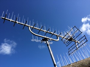Aerial with bird spikes